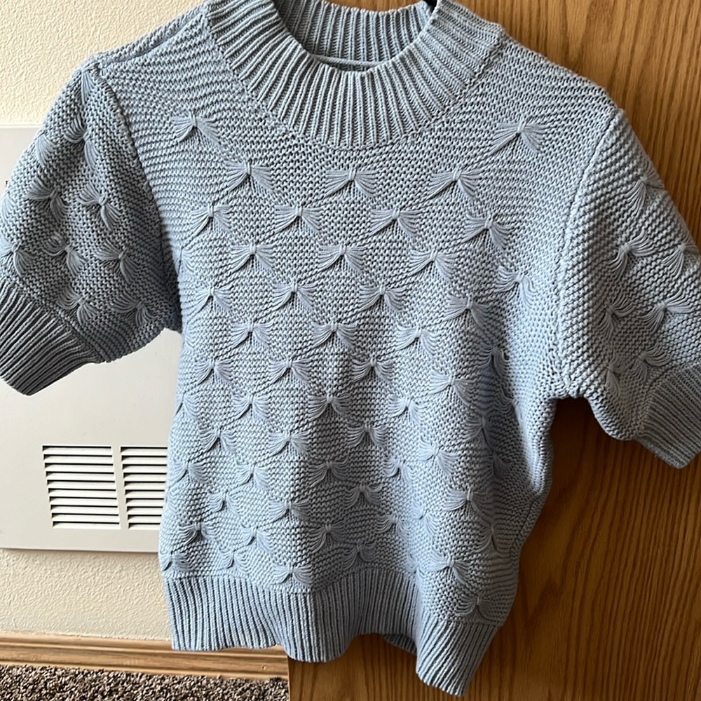 Blue Sweater